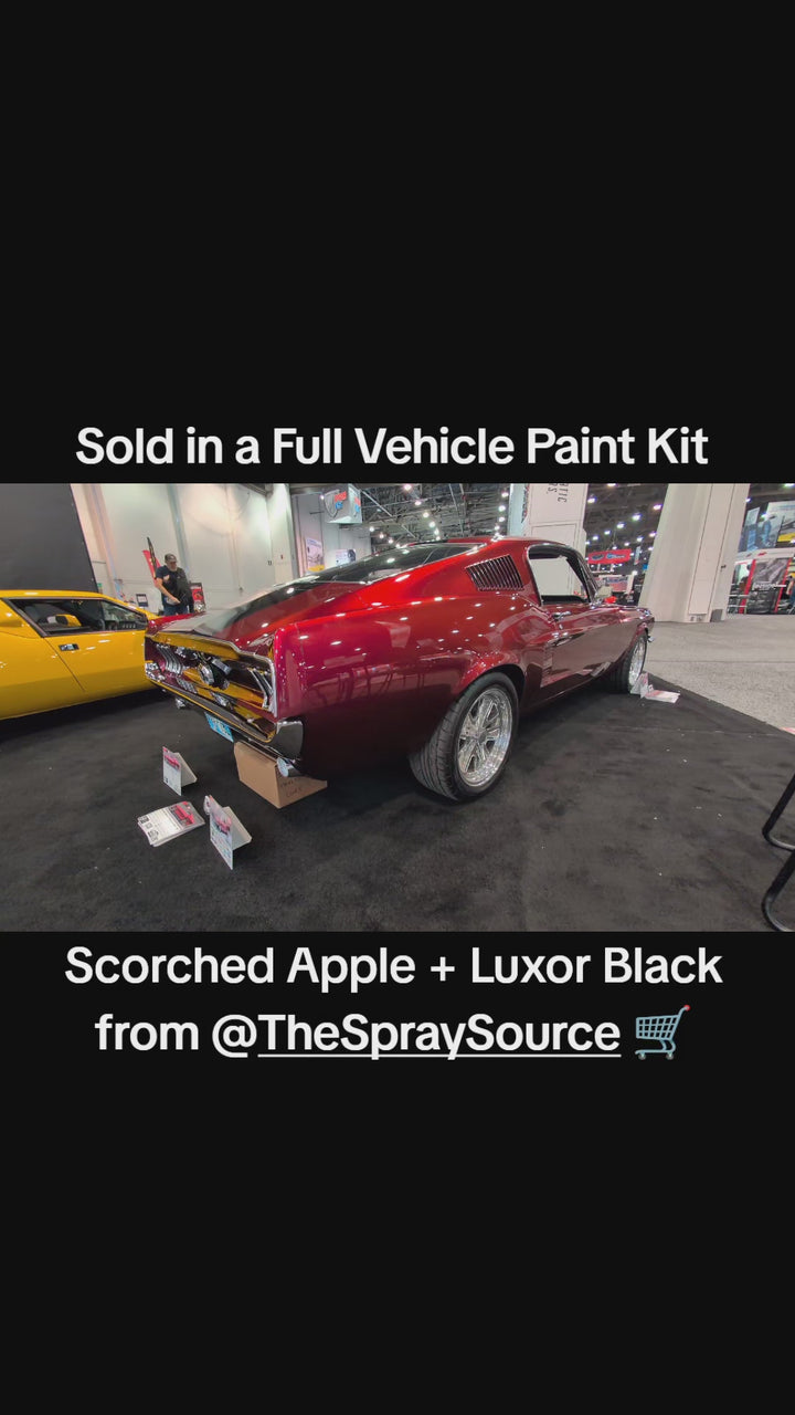 Luxor Black Vehicle Paint Kit