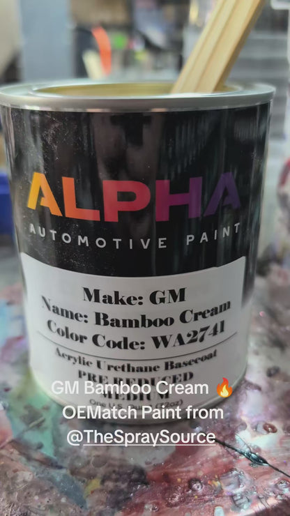 GEN. MOTORS USA BAMBOO CREAM WA2741 | OEMatch Vehicle Paint Kit