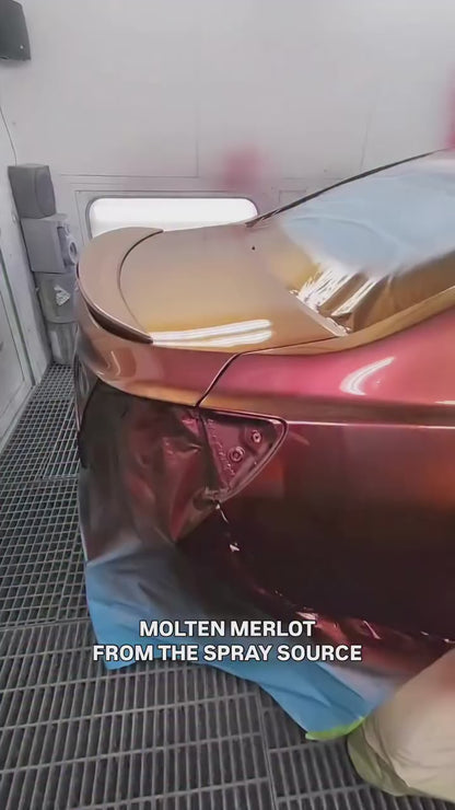 Molten Merlot Vehicle Paint Kit