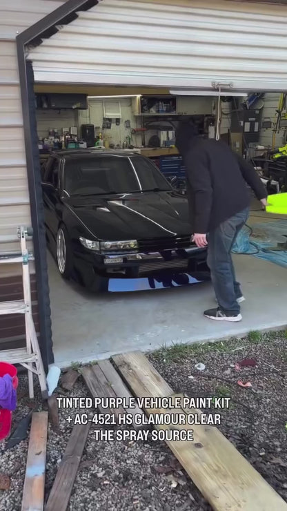 Tinted Purple Vehicle Paint Kit