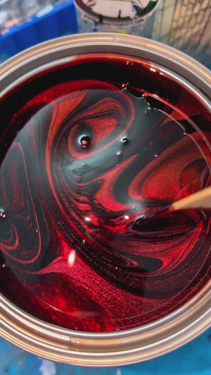 Molten Merlot Vehicle Paint Kit