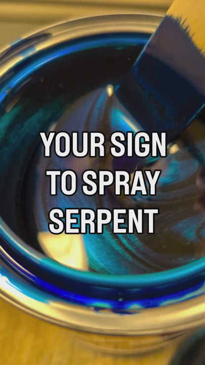 Serpent Vehicle Paint Kit