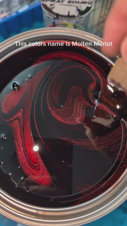 Molten Merlot Vehicle Paint Kit