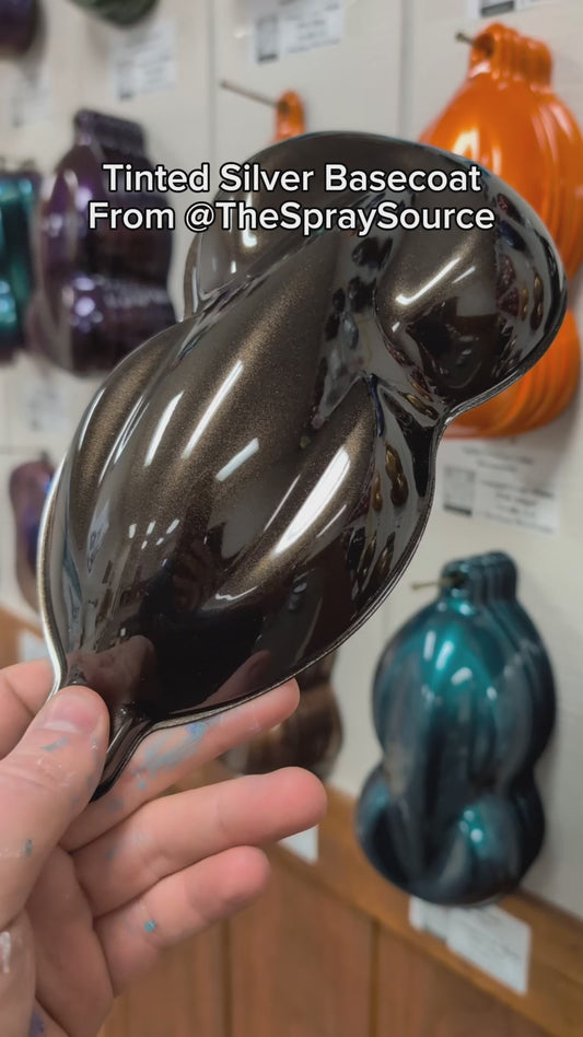 Tinted Silver Painted Sample (Black Ground Coat)