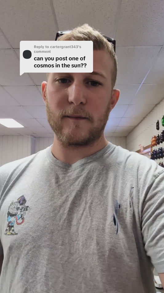 Cosmos Painted Sample (Black Ground Coat)