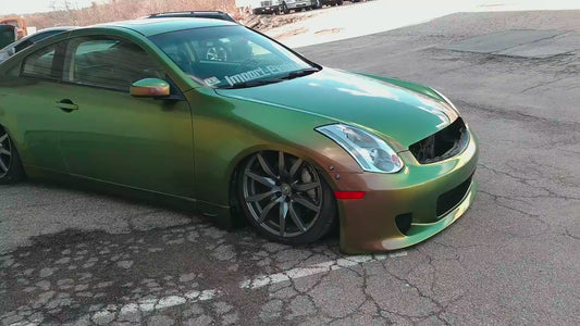 T-Rex Colorshift Painted Sample (Black Ground Coat)