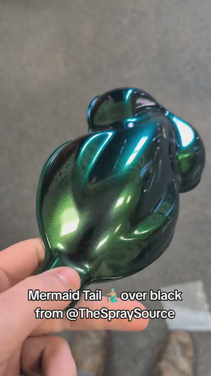 Mermaid Tail Vehicle Paint Kit