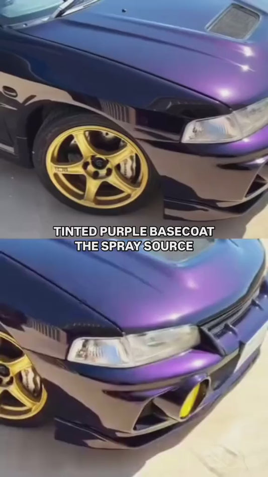 Tinted Purple Vehicle Paint Kit
