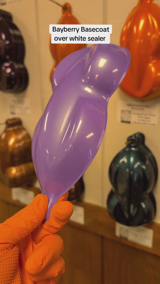 Bayberry Wheel Paint Kit