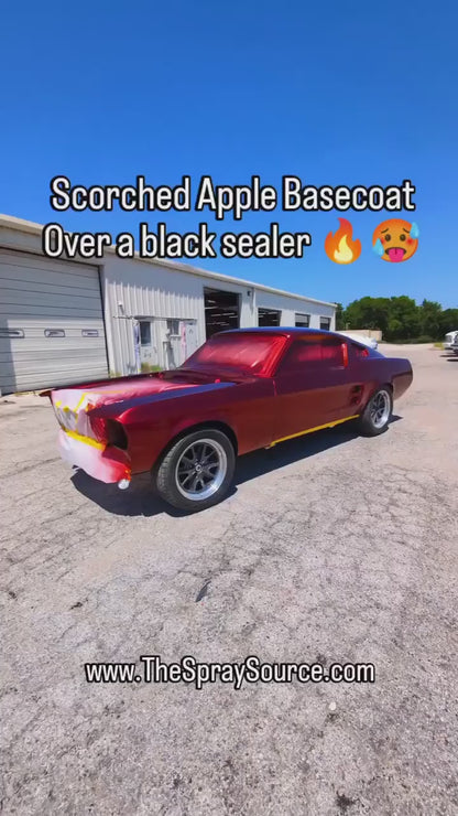 Scorched Apple Painted Sample (Black Ground Coat)