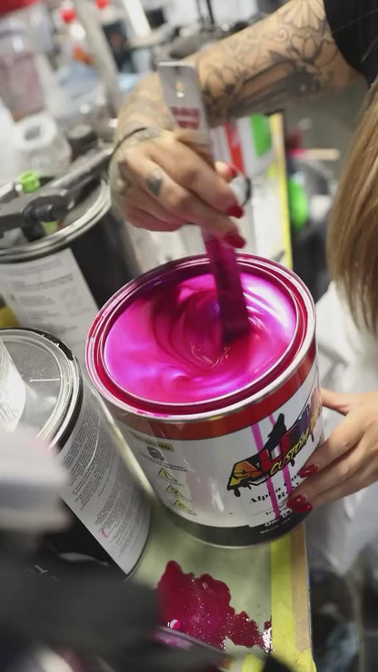 Roxy Vehicle Paint Kit