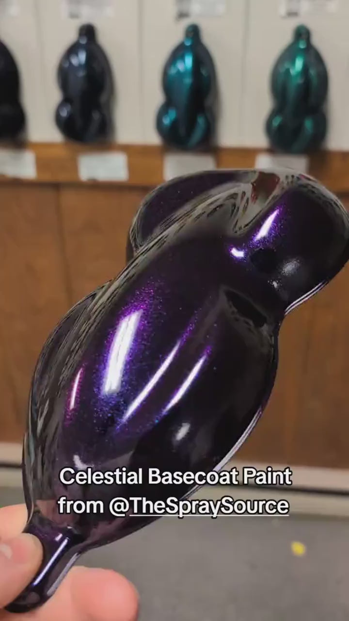 Celestial Purple Bike Paint Kit – The Spray Source
