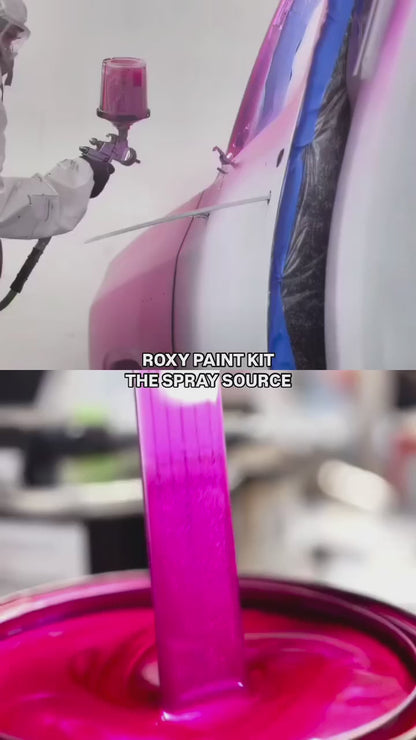Roxy Vehicle Paint Kit