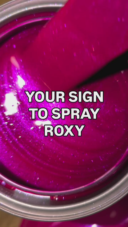 Roxy Vehicle Paint Kit