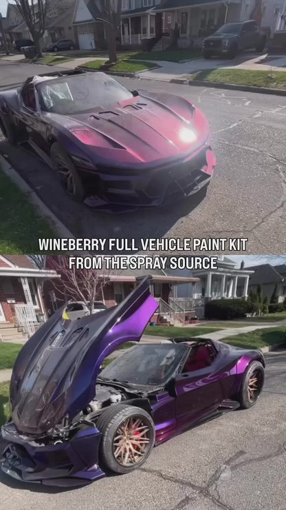 Wineberry Vehicle Paint Kit