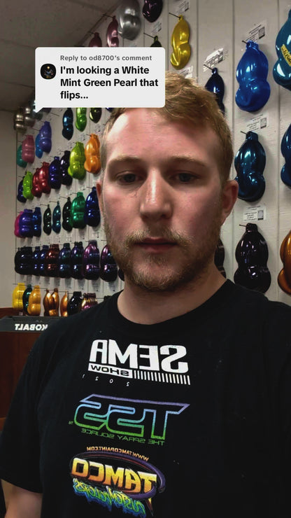 Sun Gem Bike Paint Kit