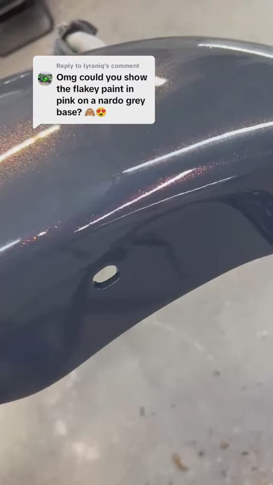 LAMBORGHINI GRIGIO TELESTO P. 0098 | OEMatch Automotive Vehicle Paint Kit