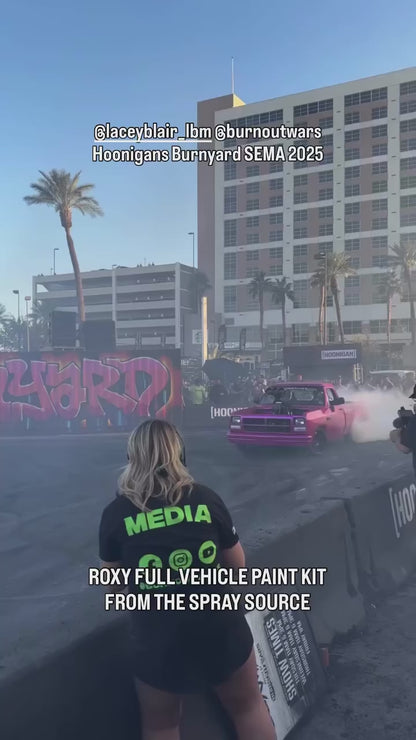 Roxy Vehicle Paint Kit