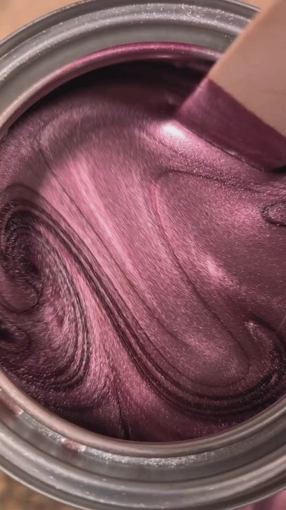 Silvered Rose Vehicle Paint Kit