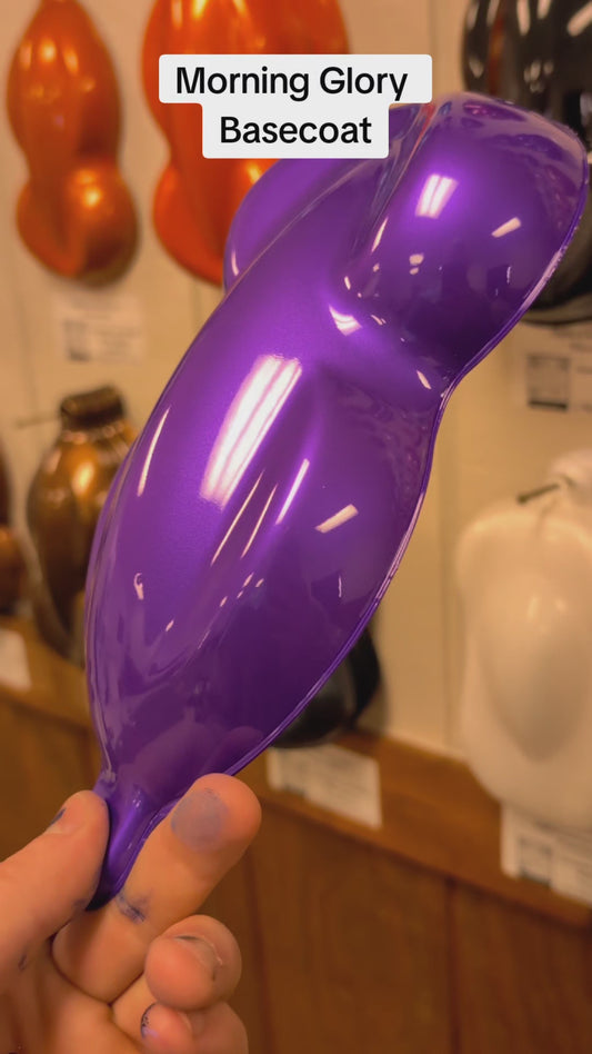 Morning Glory Painted Sample (White Ground Coat)