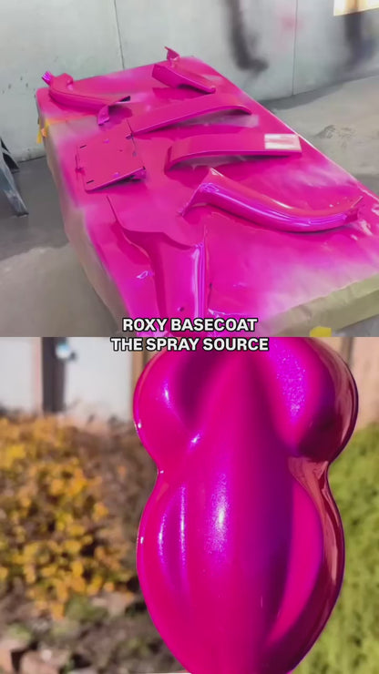 Roxy Vehicle Paint Kit