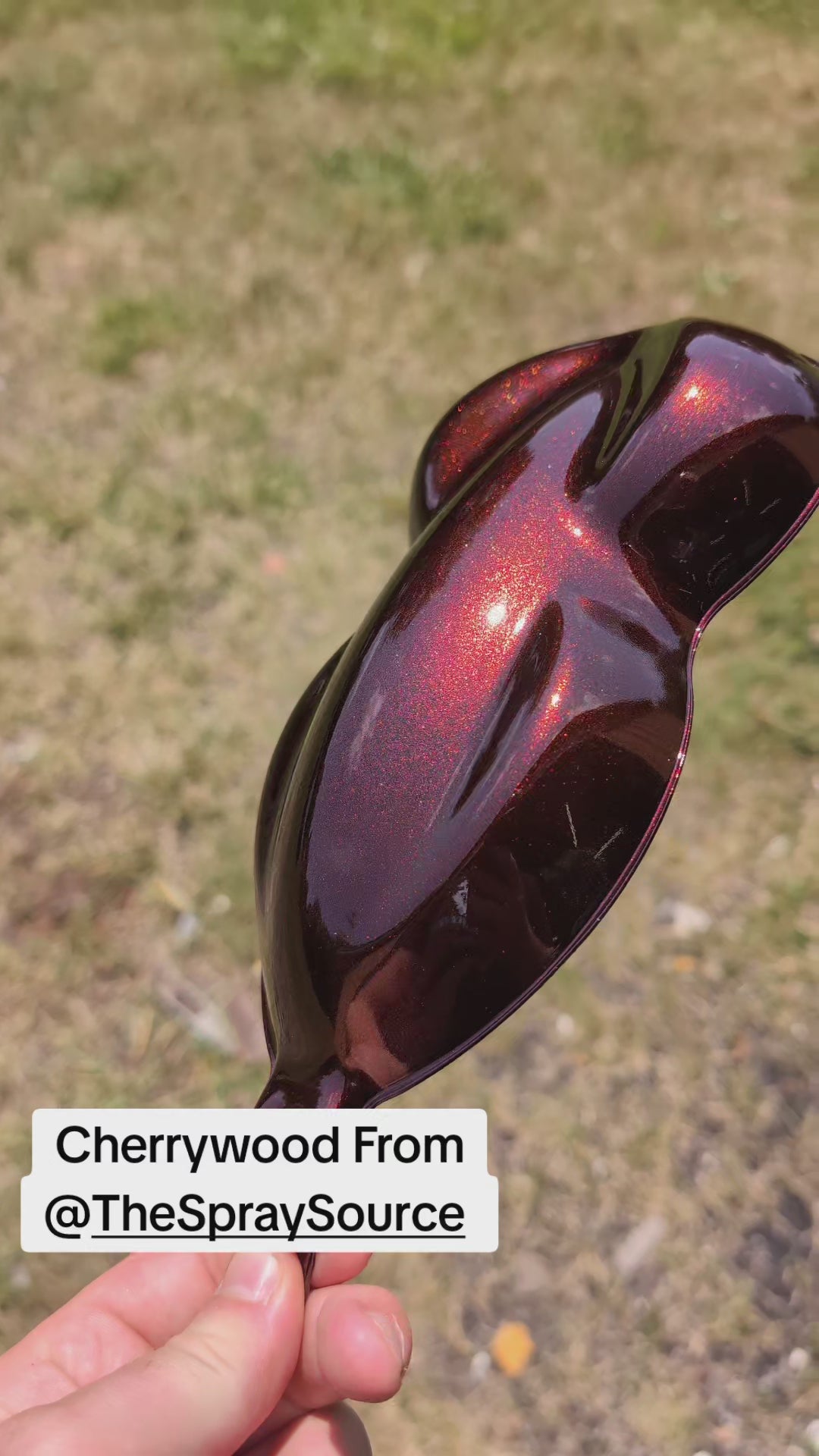 Cherrywood Painted Sample (Black Ground Coat) – The Spray Source