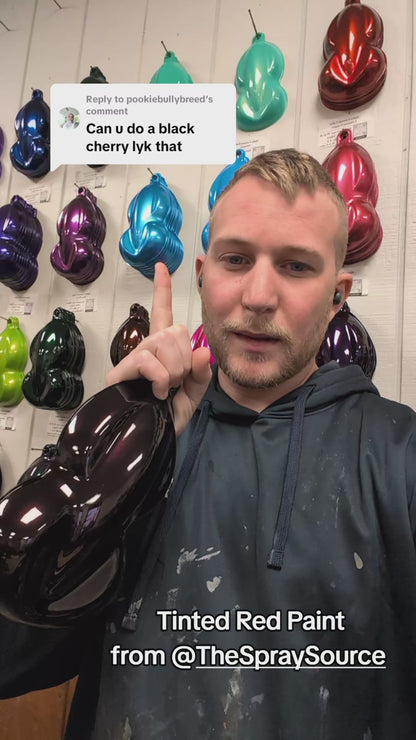 Tinted Red Brake Caliper Paint Kit