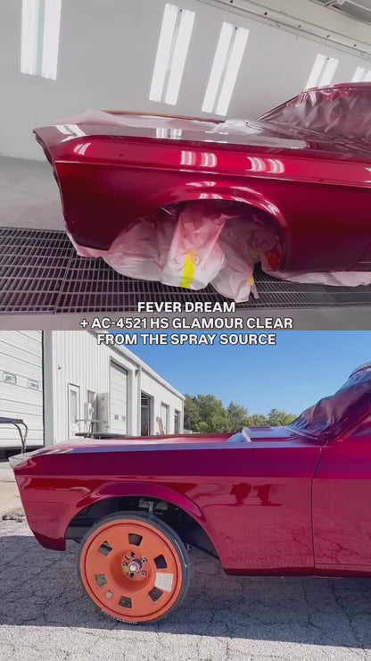 Fever Dream Wheel Paint Kit