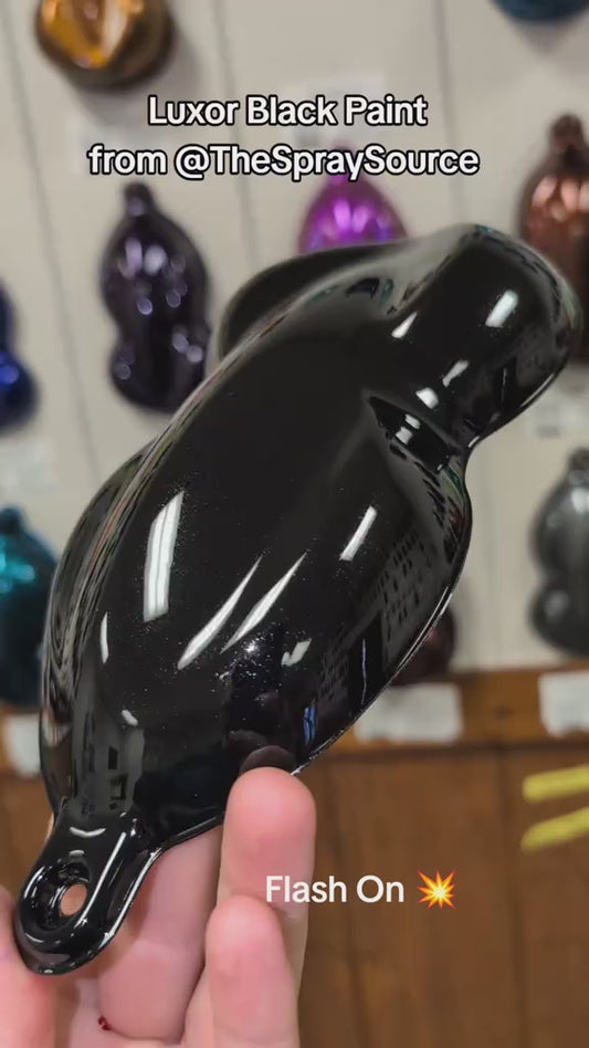 Luxor Black Wheel Paint Kit