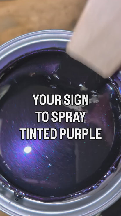 Tinted Purple Vehicle Paint Kit
