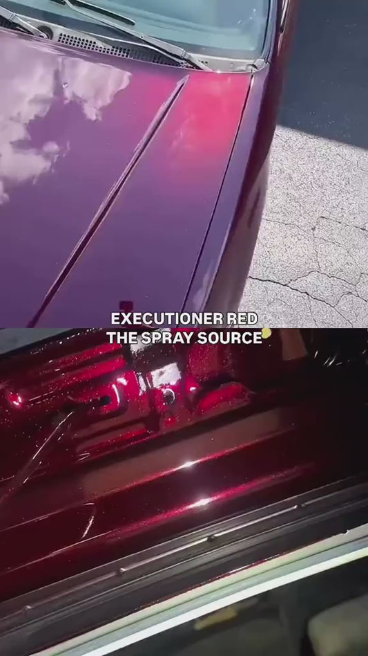 Executioner Red Wheel Paint Kit