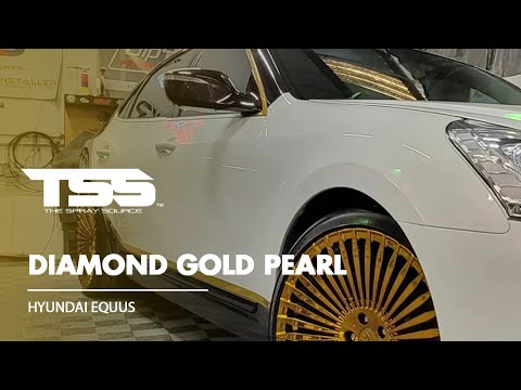Diamond Gold Extra Small Car Kit (Black Ground Coat)