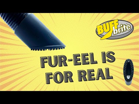 “Fits All” Fur eel PRO & Fang Kit