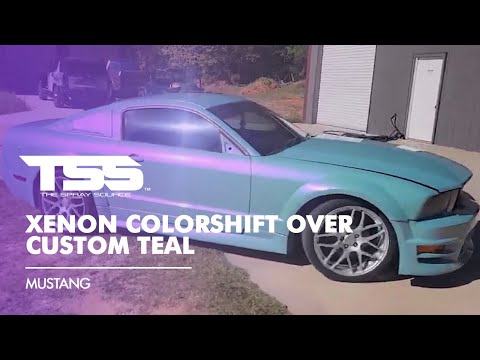 Xenon Colorshift Large Car Kit (Black Ground Coat)