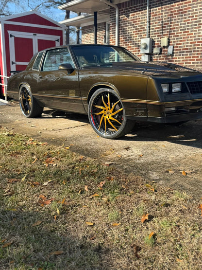 Tinted Gold Paint Basecoat