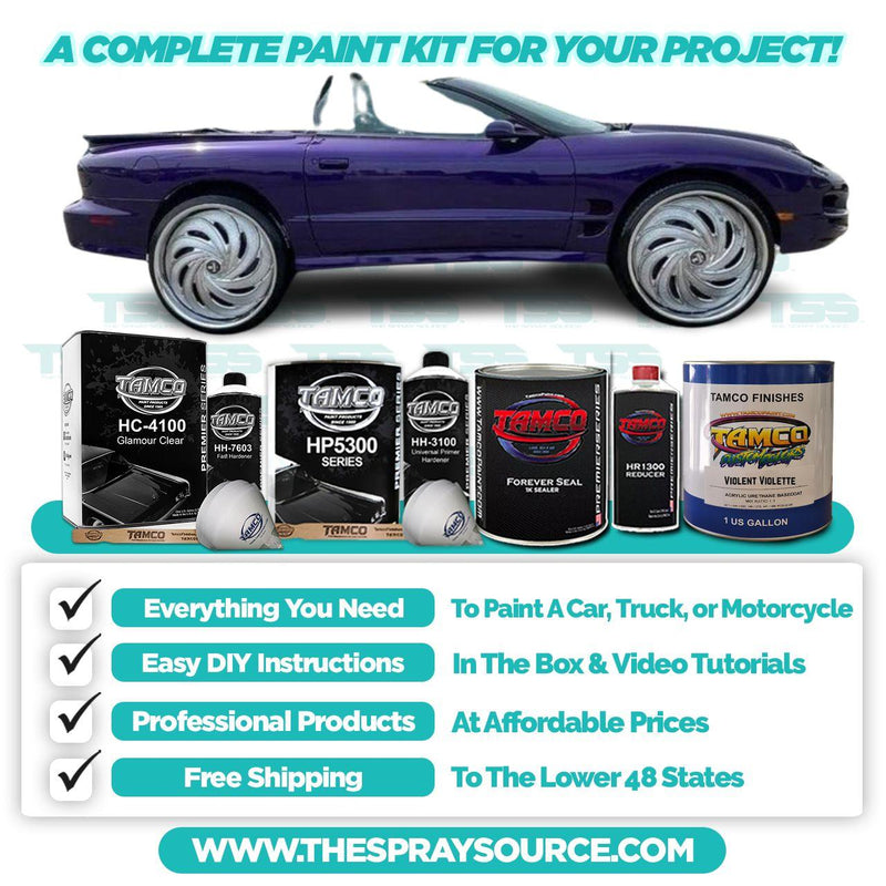 Violent Violette Small Car Kit (Black Ground Coat) - The Spray Source - Tamco Paint