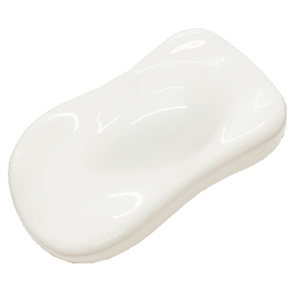 Wicked White Bike Paint Kit