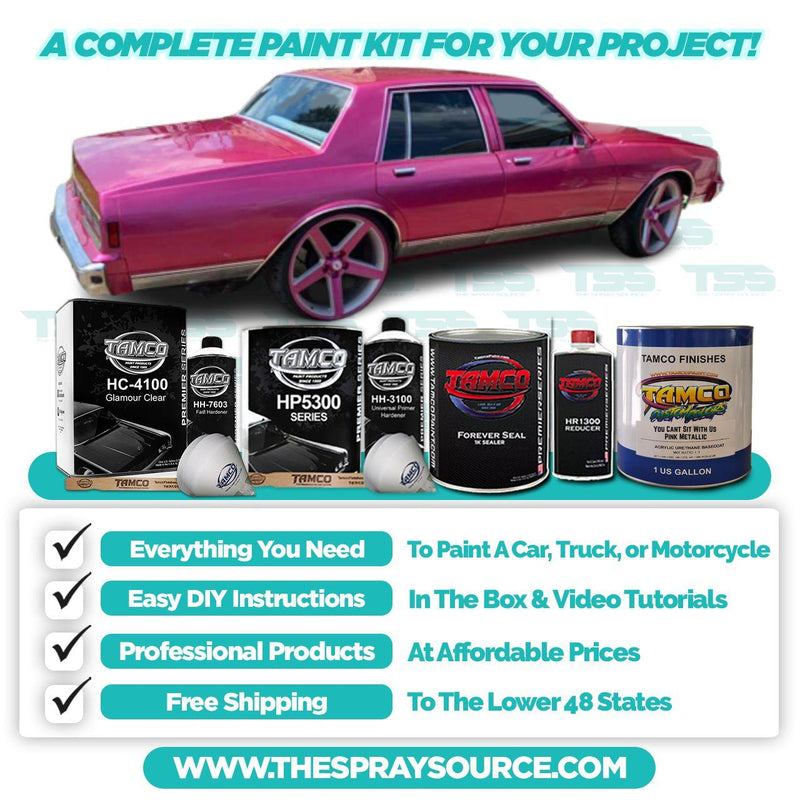 You Cant Sit With Us Pink Metallic Large Car Kit (White Ground Coat) - The Spray Source - Tamco Paint