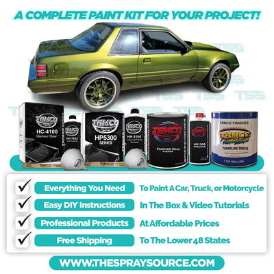 Yuengling Green Extra Small Car Kit (Black Ground Coat) - The Spray Source - Tamco Paint