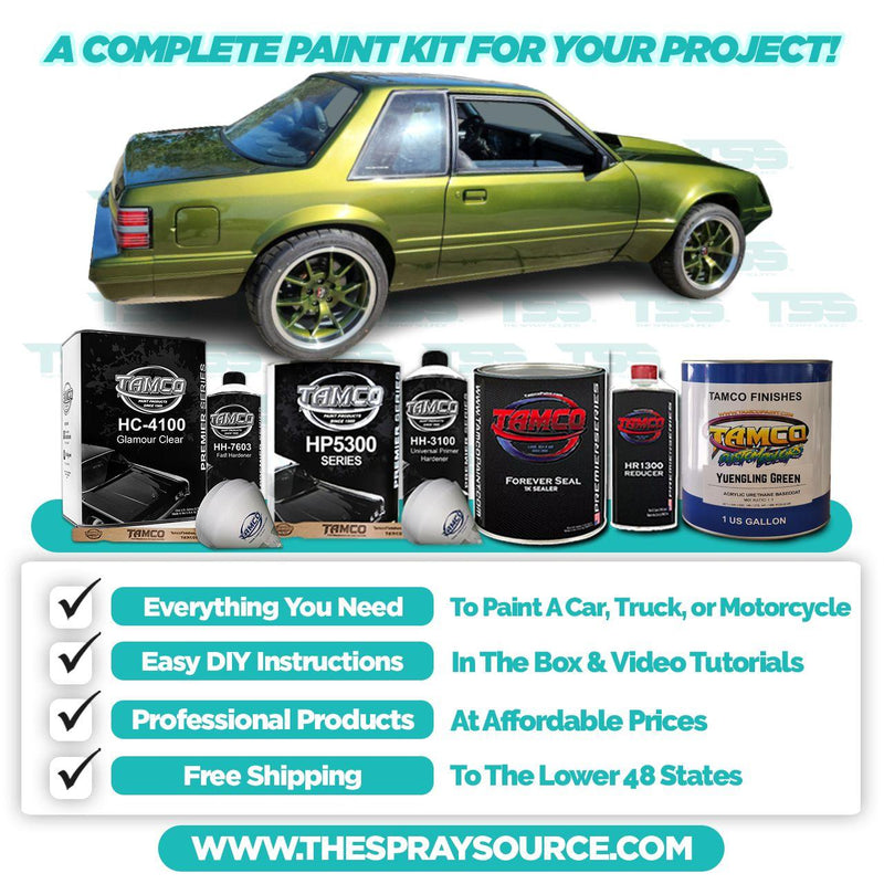 Yuengling Green Medium Car Kit (Black Ground Coat) - The Spray Source - Tamco Paint